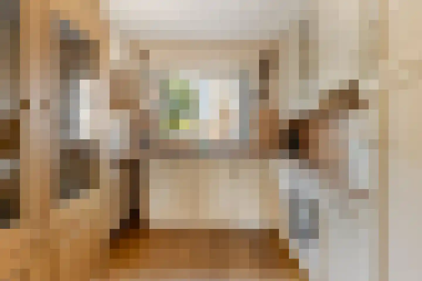 Ringspoor 4 Capelle aan den IJssel thumbnail 22