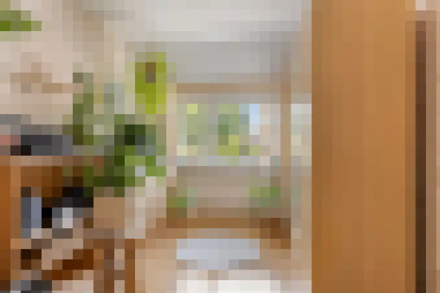 Ringspoor 4 Capelle aan den IJssel thumbnail 34