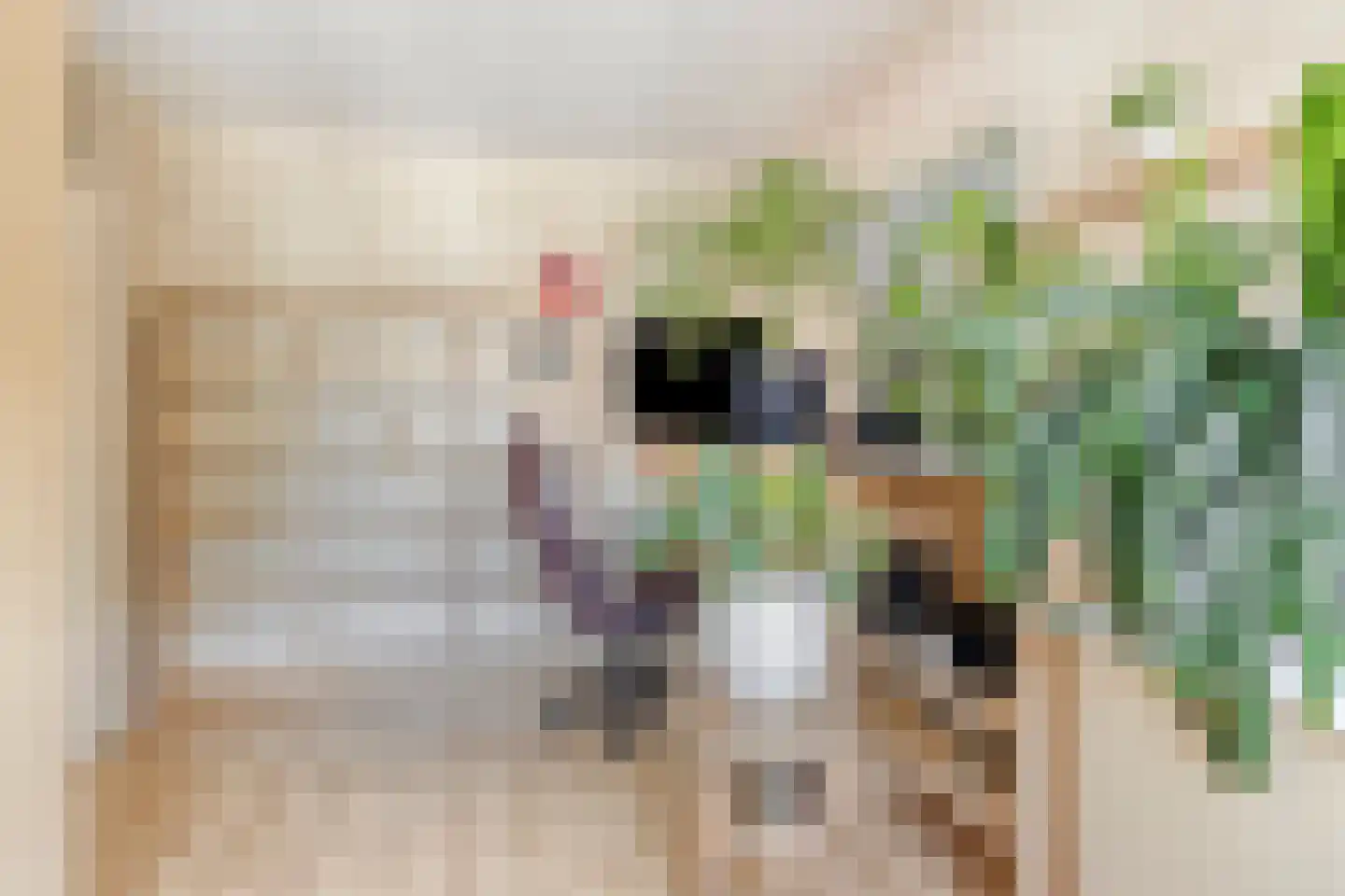 Ringspoor 4 Capelle aan den IJssel thumbnail 35