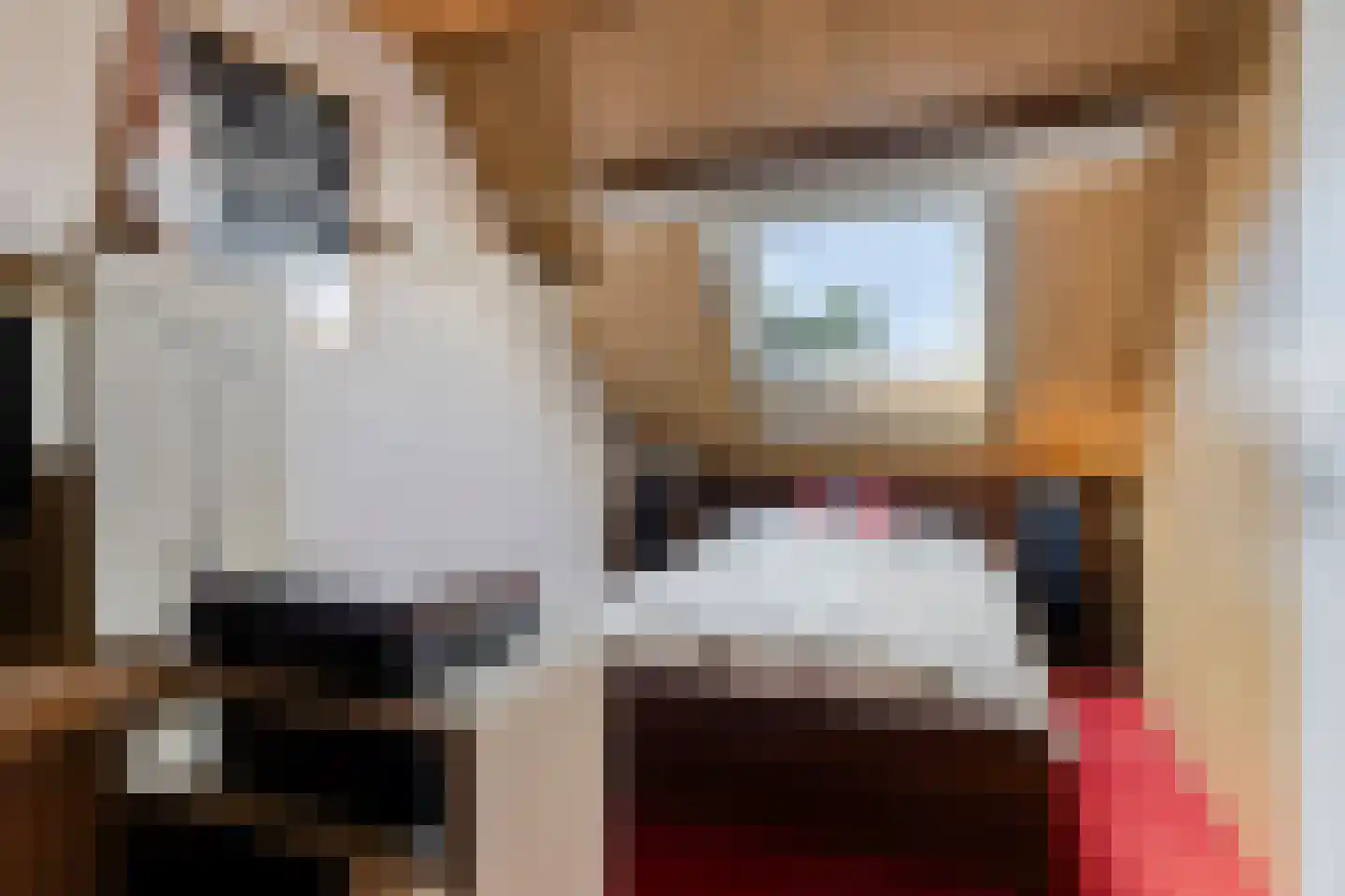 Ringspoor 4 Capelle aan den IJssel thumbnail 39