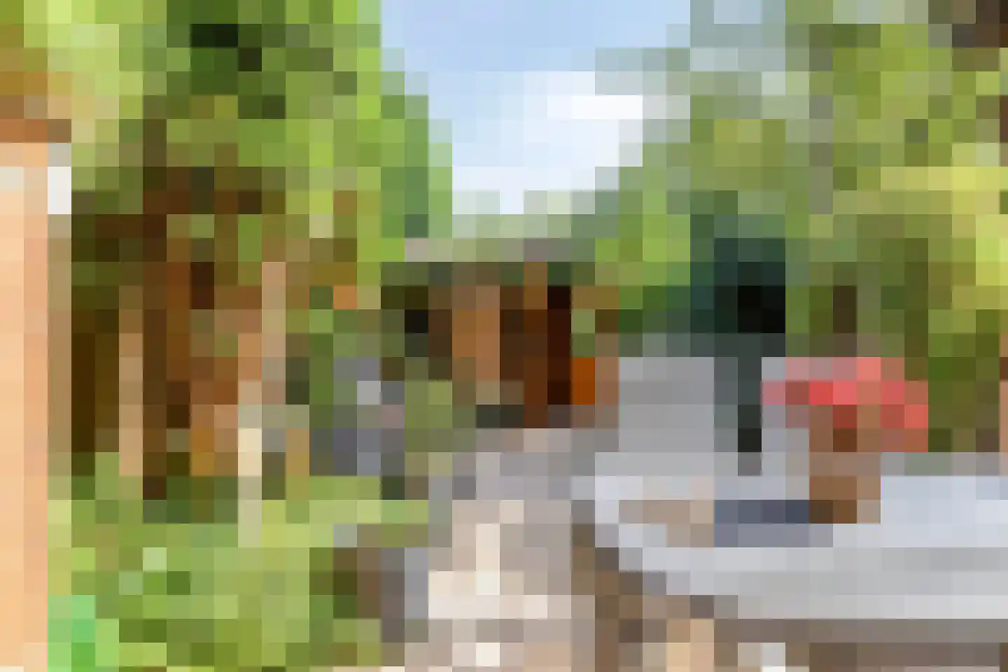 Ringspoor 4 Capelle aan den IJssel thumbnail 4