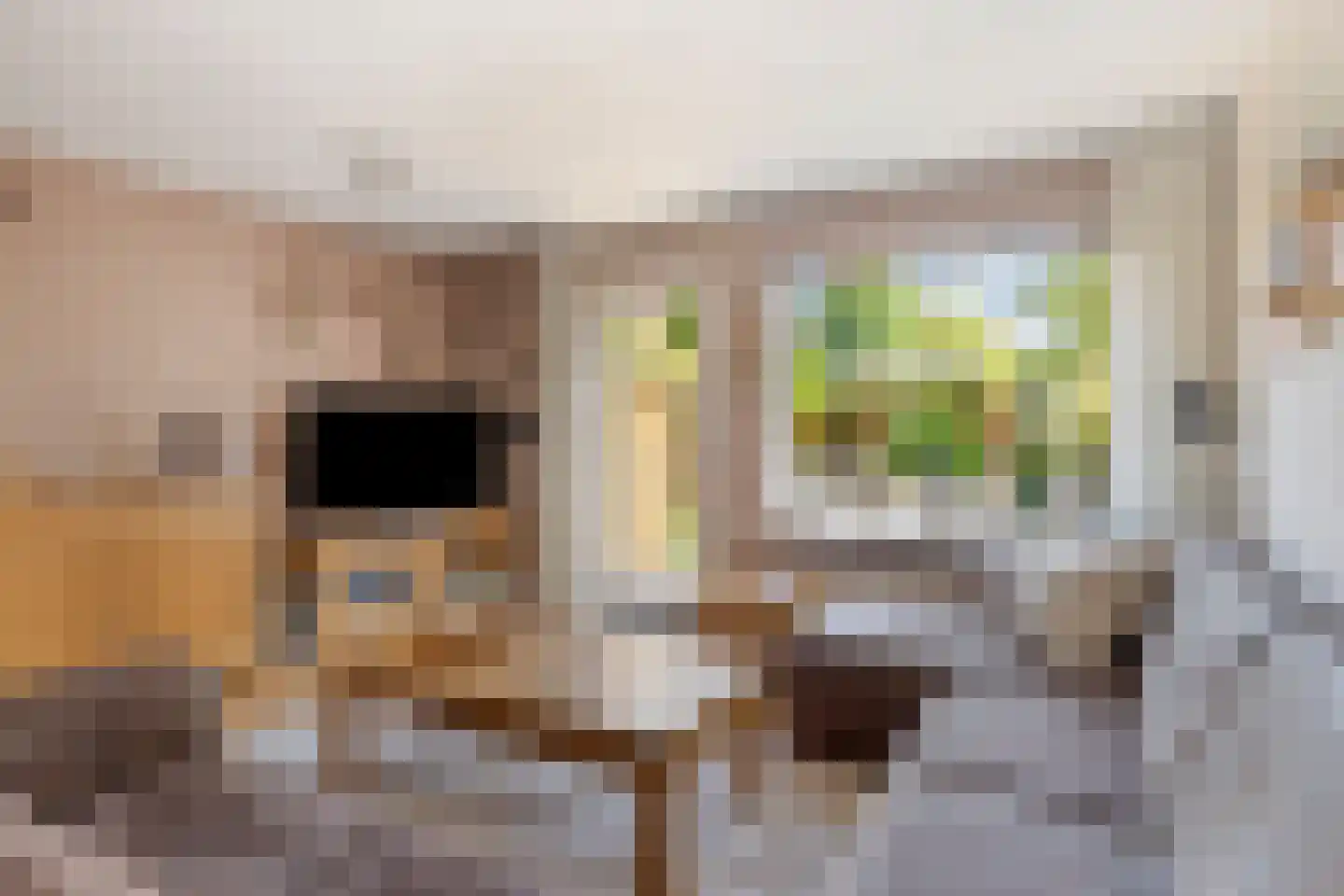 Ringspoor 4 Capelle aan den IJssel thumbnail 5