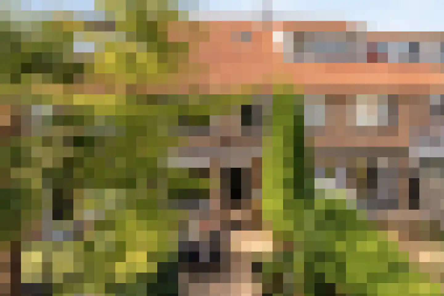 Ringspoor 4 Capelle aan den IJssel thumbnail 51