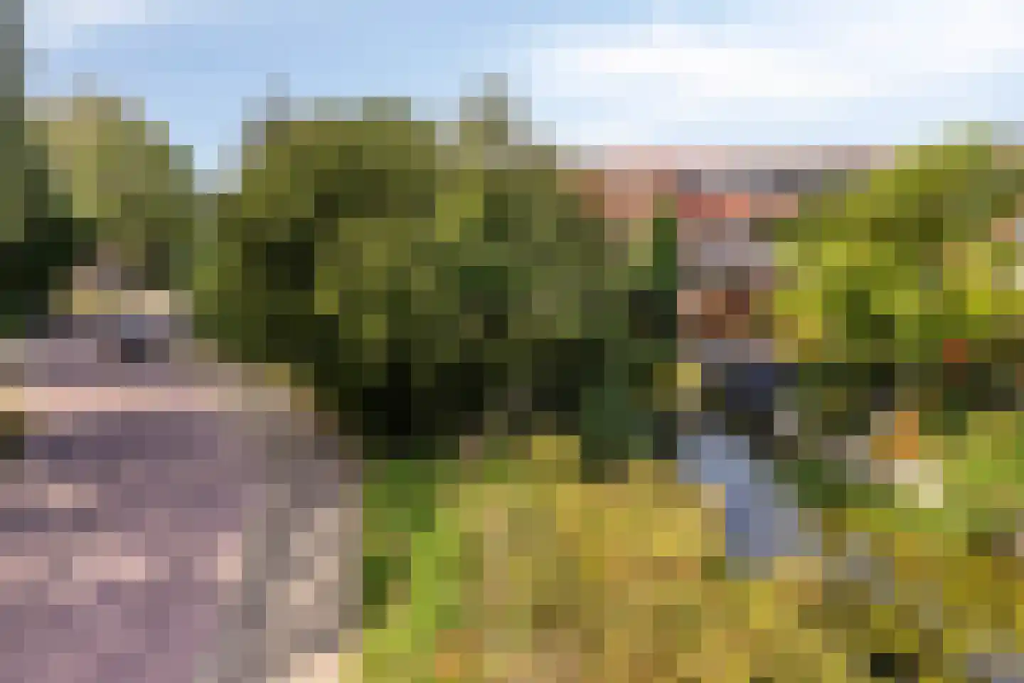 Ringspoor 4 Capelle aan den IJssel thumbnail 53