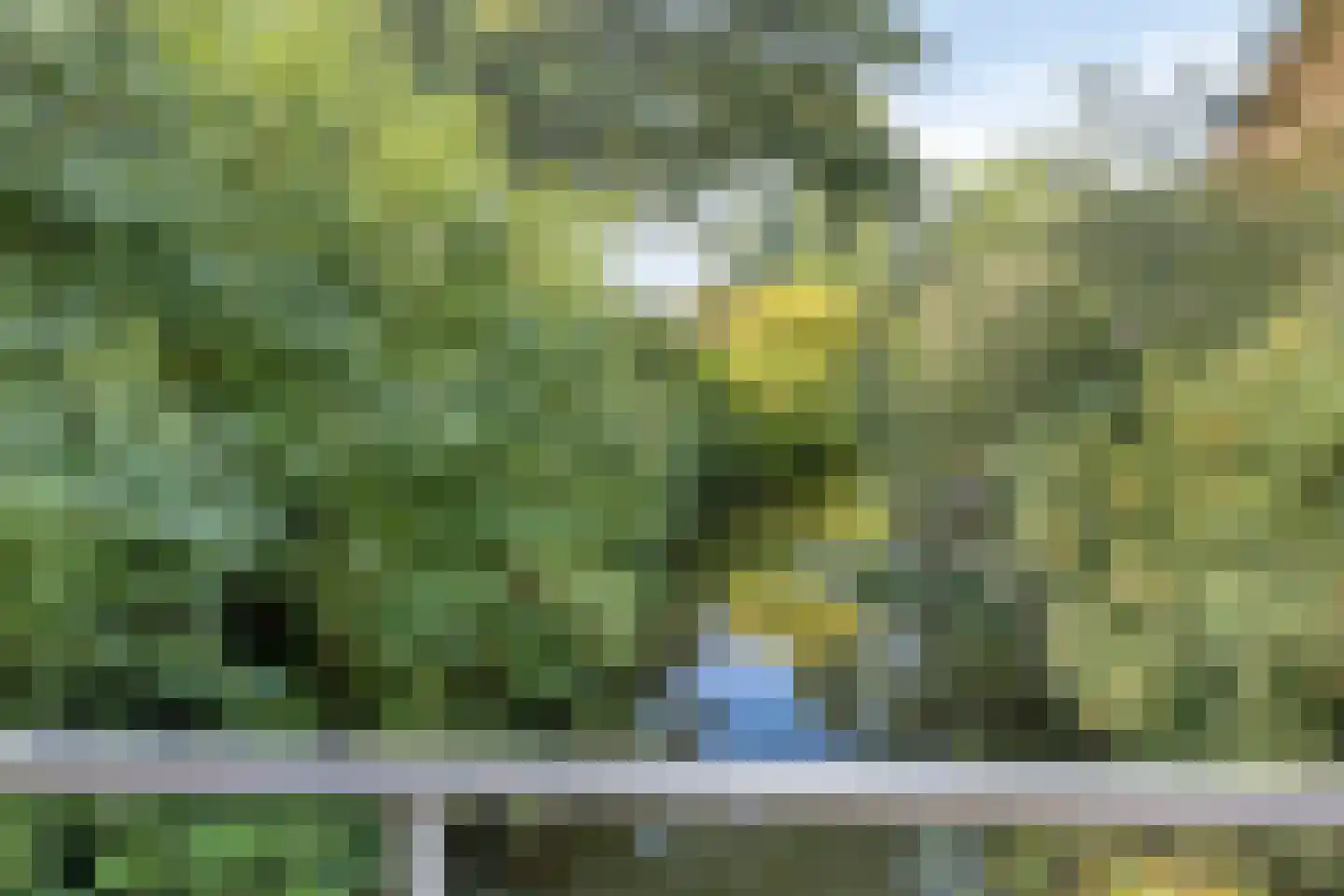 Ringspoor 4 Capelle aan den IJssel thumbnail 54