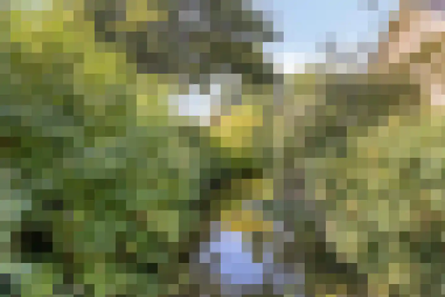 Ringspoor 4 Capelle aan den IJssel thumbnail 55