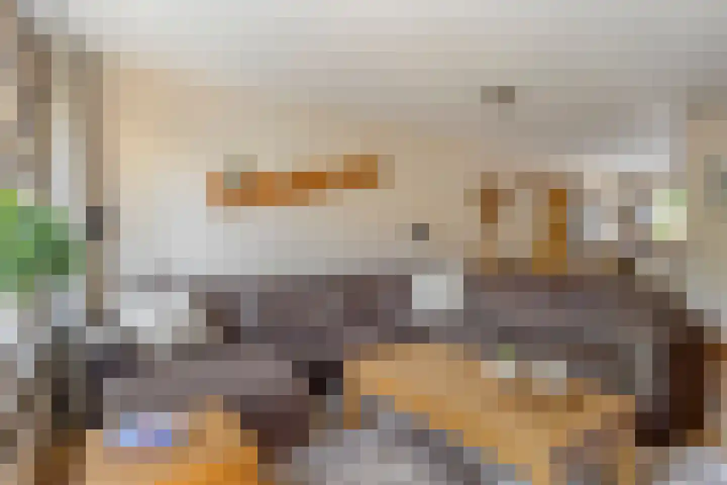 Ringspoor 4 Capelle aan den IJssel thumbnail 6