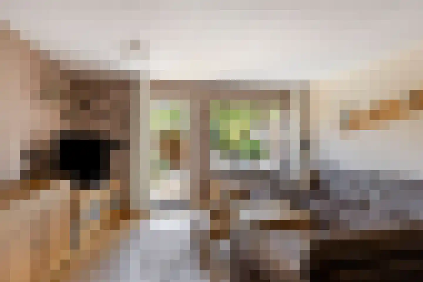 Ringspoor 4 Capelle aan den IJssel thumbnail 7