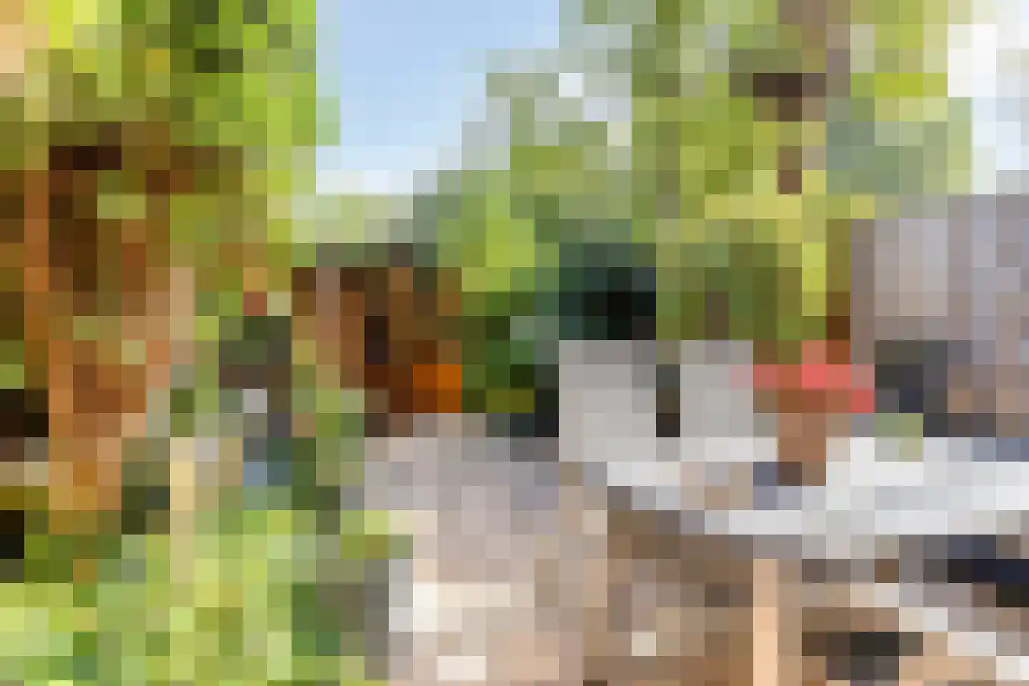 Ringspoor 4 Capelle aan den IJssel thumbnail 9