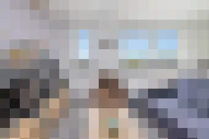Ringspoor 42 Capelle aan den IJssel thumbnail 17