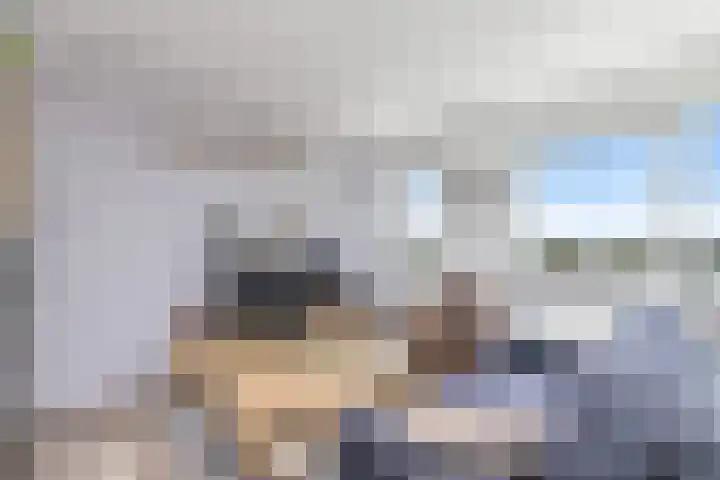 Ringspoor 42 Capelle aan den IJssel thumbnail 18