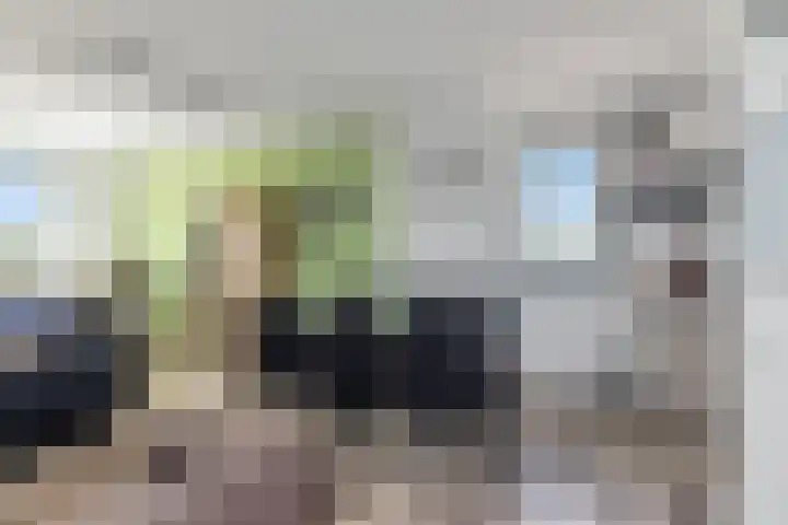 Ringspoor 42 Capelle aan den IJssel thumbnail 22