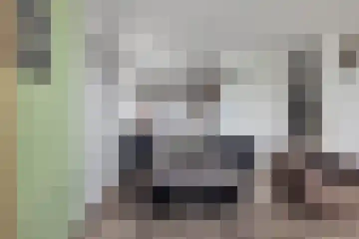 Ringspoor 42 Capelle aan den IJssel thumbnail 23