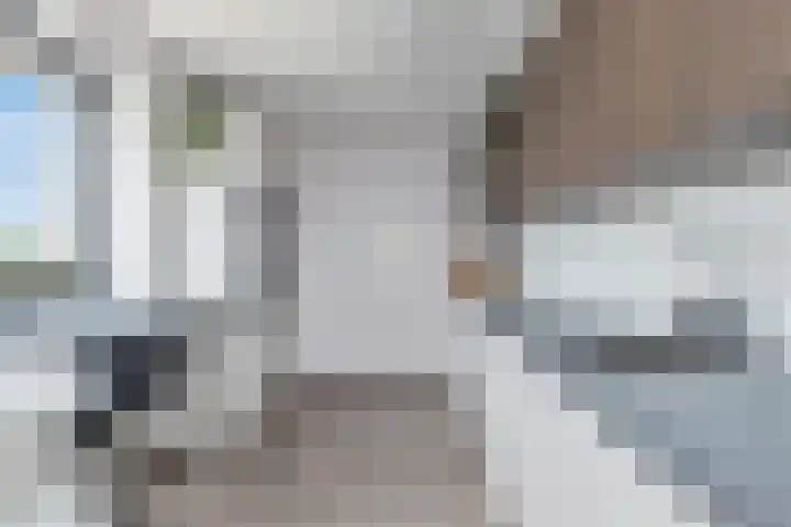 Ringspoor 42 Capelle aan den IJssel thumbnail 24
