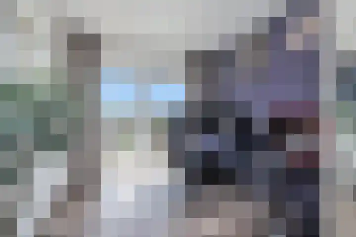 Ringspoor 42 Capelle aan den IJssel thumbnail 32