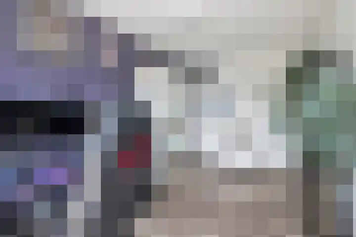 Ringspoor 42 Capelle aan den IJssel thumbnail 33