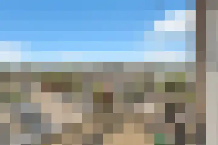 Ringspoor 42 Capelle aan den IJssel thumbnail 35