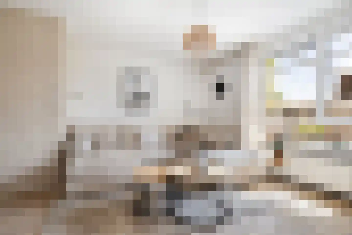 Ringspoor 50 Capelle aan den IJssel thumbnail 10