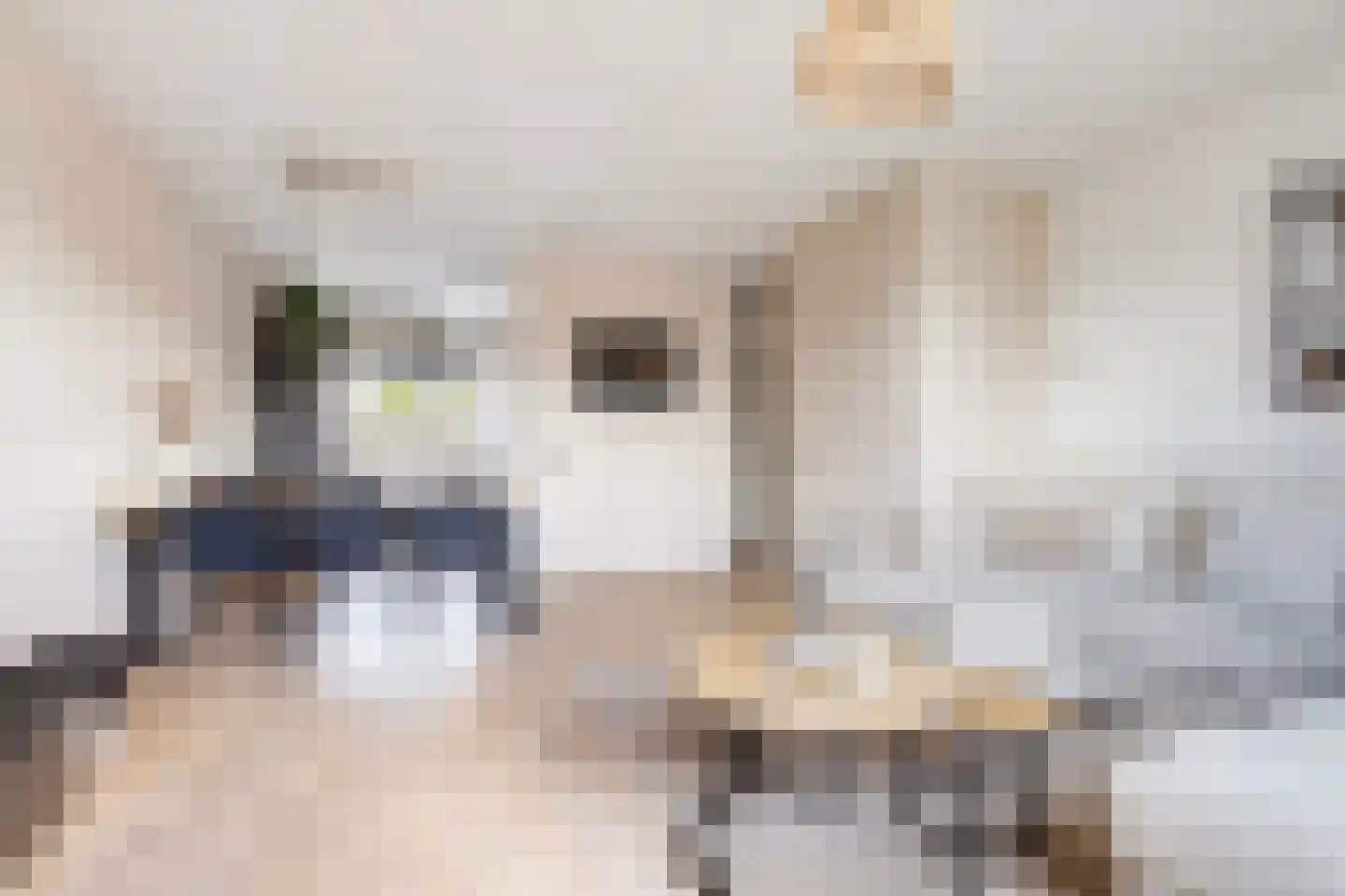 Ringspoor 50 Capelle aan den IJssel thumbnail 11