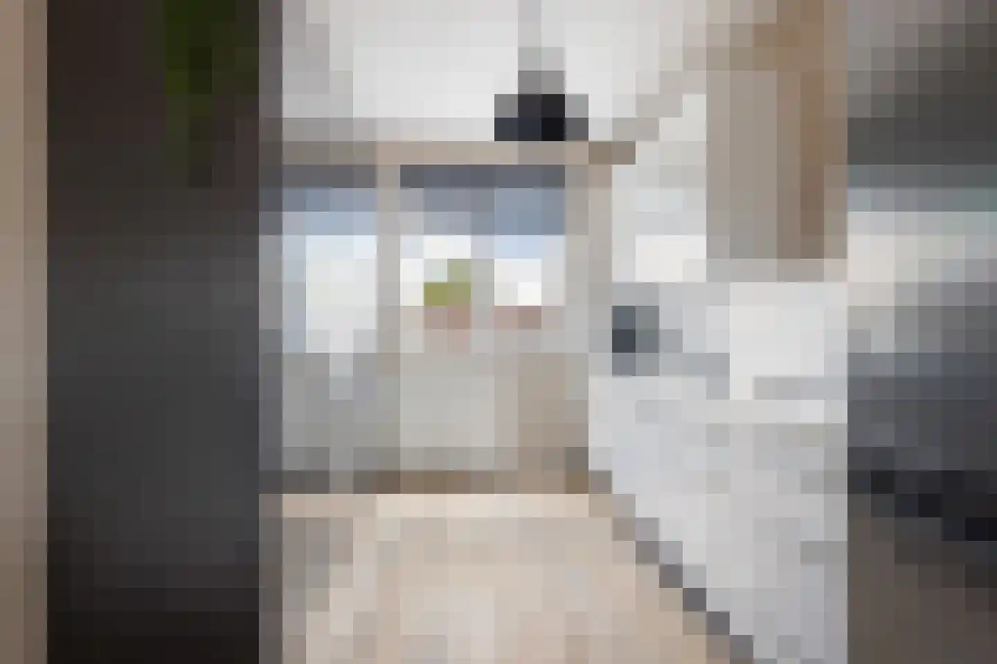 Ringspoor 50 Capelle aan den IJssel thumbnail 12