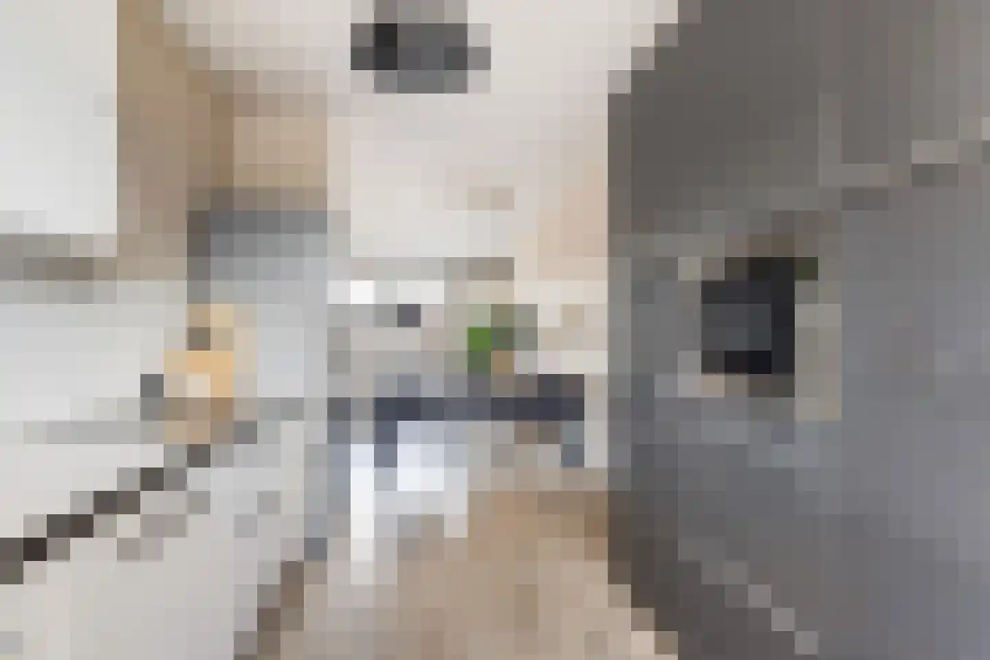 Ringspoor 50 Capelle aan den IJssel thumbnail 14