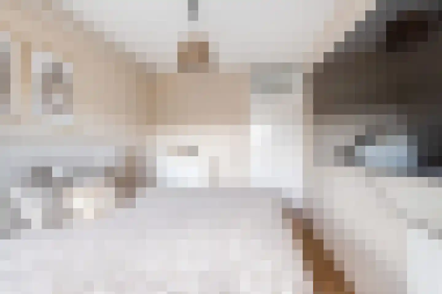 Ringspoor 50 Capelle aan den IJssel thumbnail 17