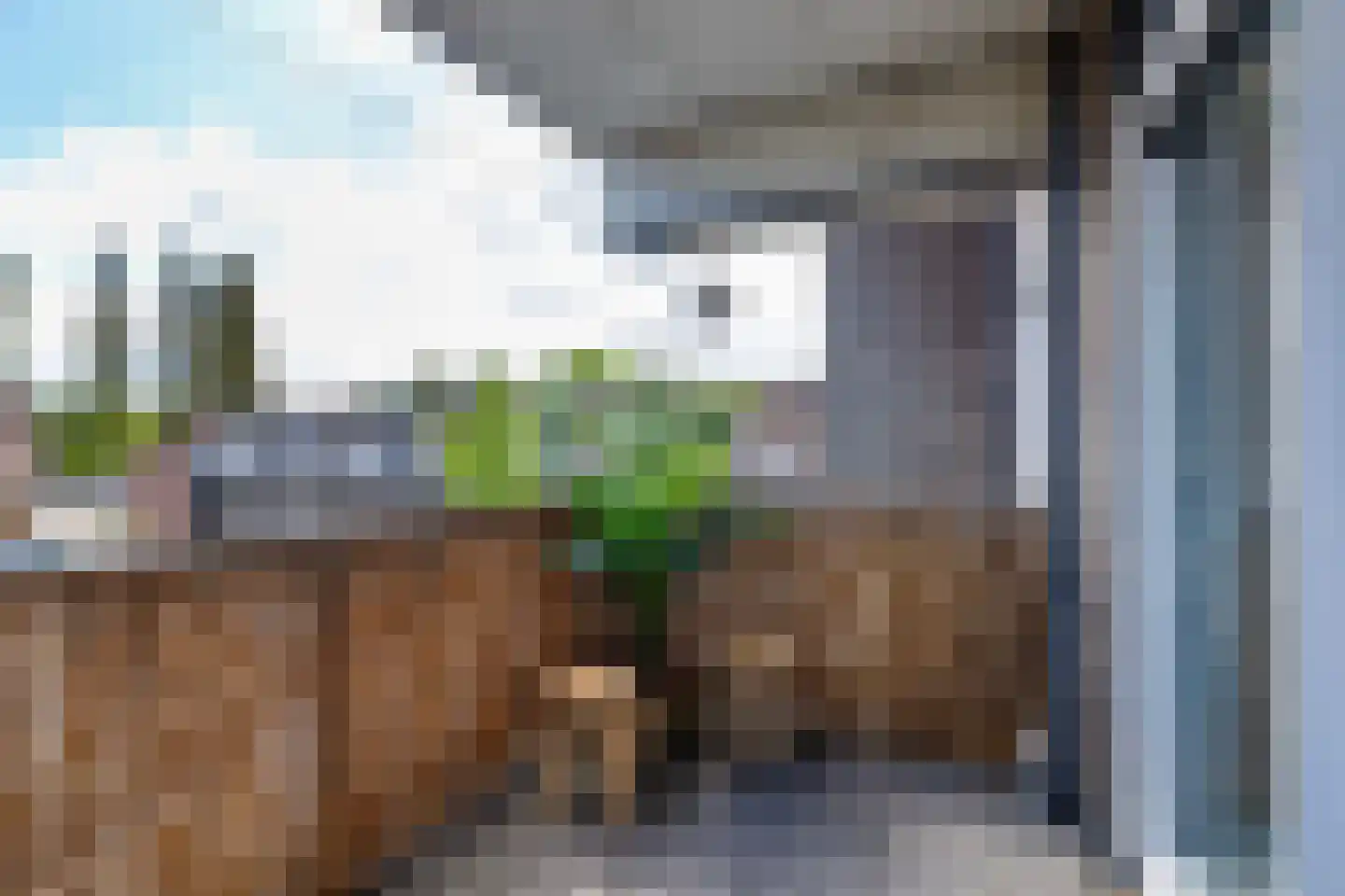 Ringspoor 50 Capelle aan den IJssel thumbnail 27