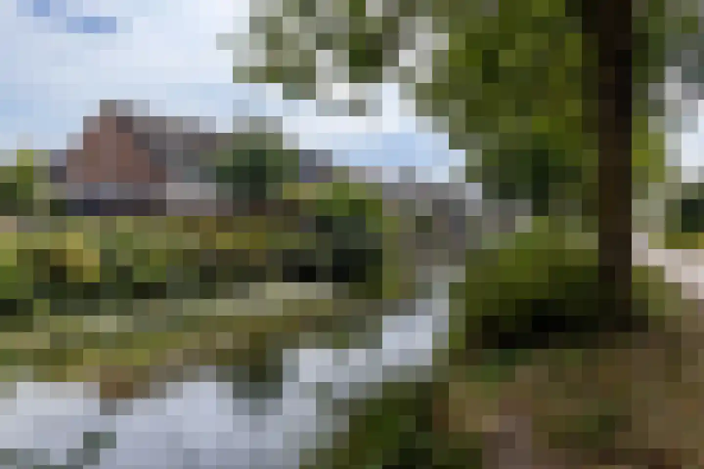 Ringspoor 50 Capelle aan den IJssel thumbnail 34
