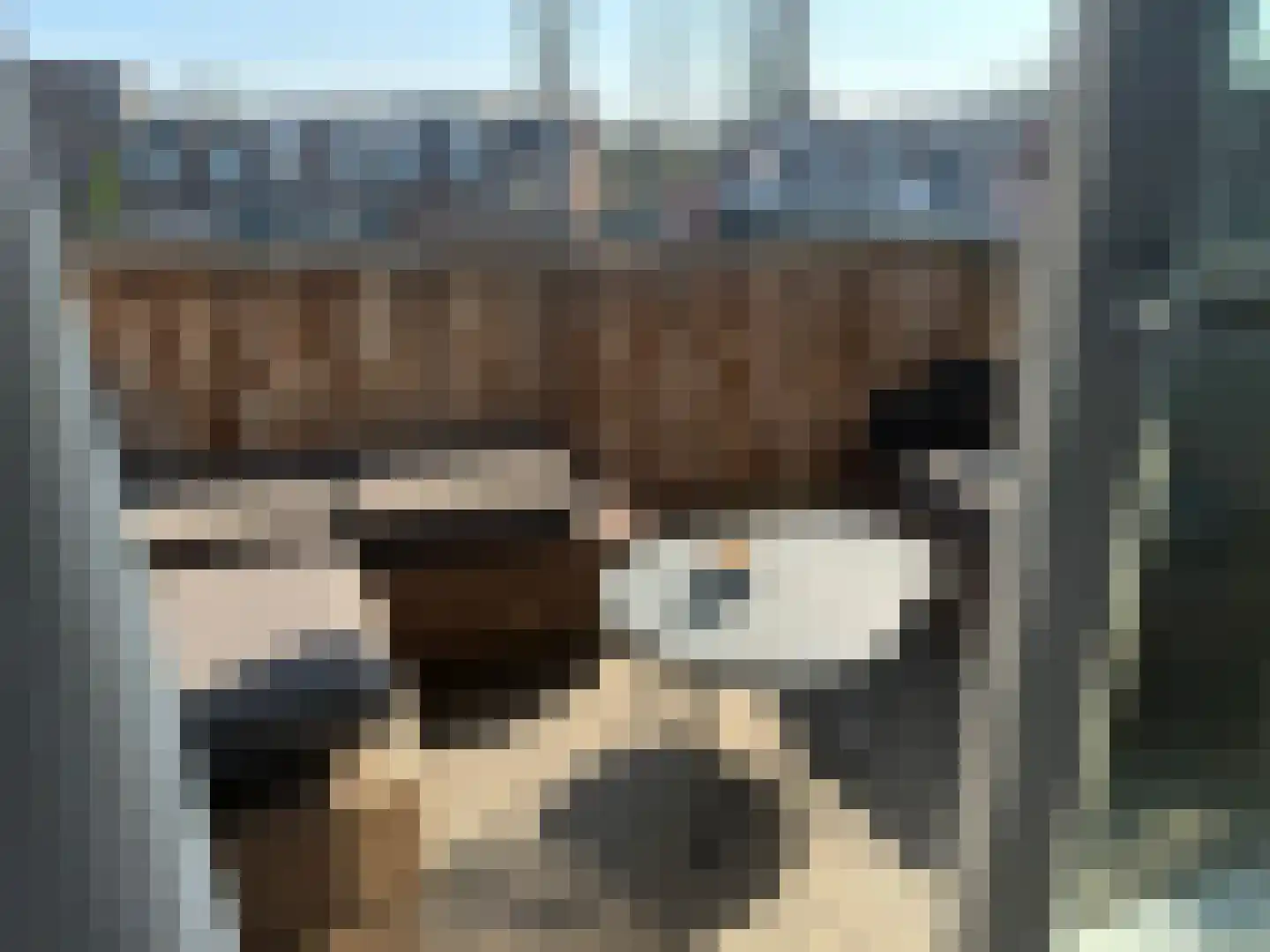 Ringspoor 50 Capelle aan den IJssel thumbnail 4