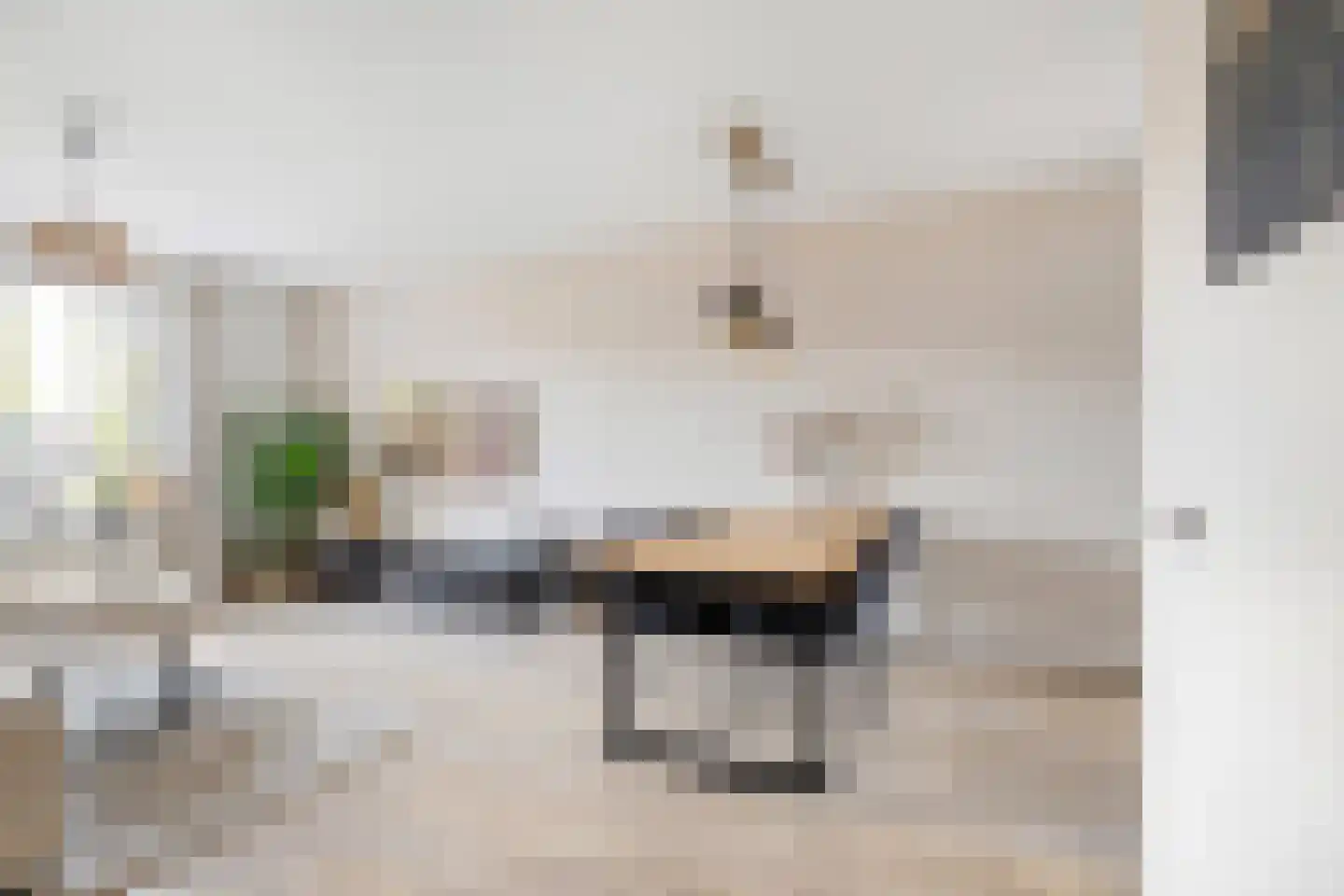 Ringspoor 50 Capelle aan den IJssel thumbnail 7