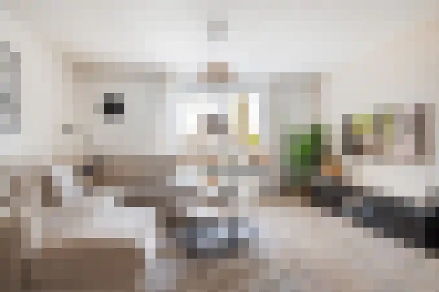 Ringspoor 50 Capelle aan den IJssel thumbnail 9