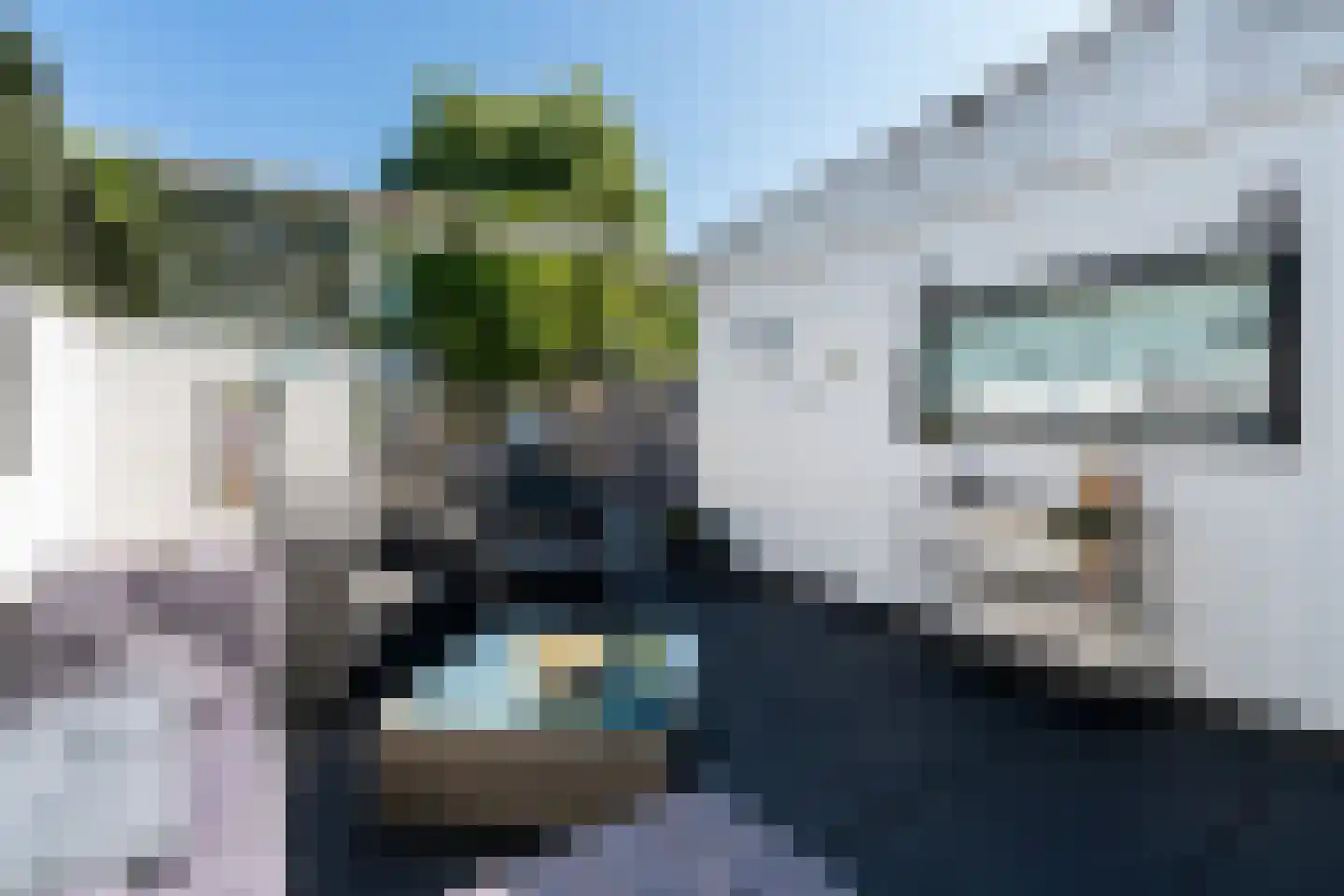 Ringspoor 55 Capelle aan den IJssel thumbnail 10