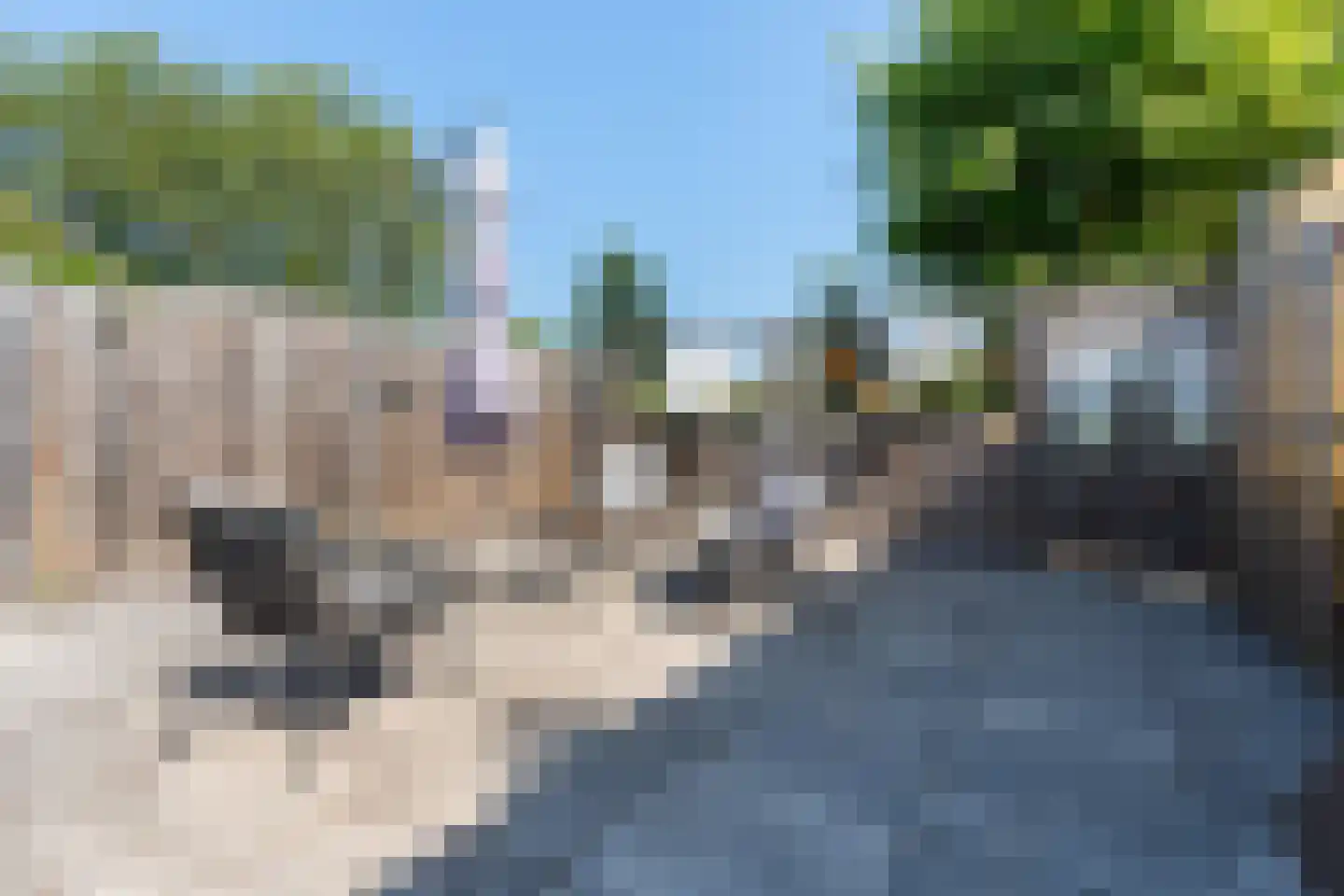 Ringspoor 55 Capelle aan den IJssel thumbnail 14