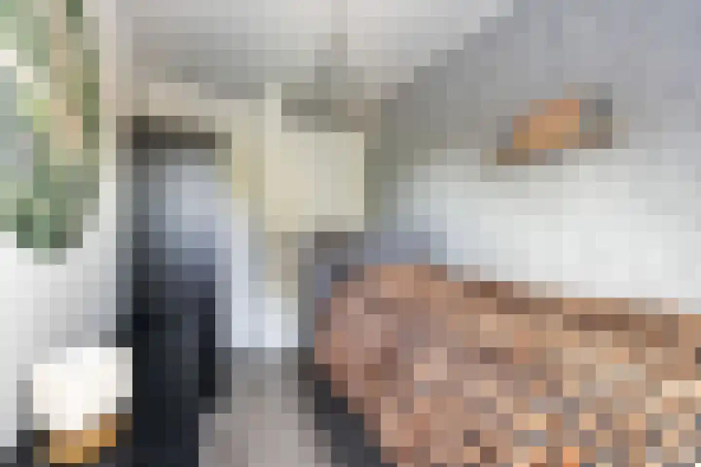 Ringspoor 55 Capelle aan den IJssel thumbnail 30