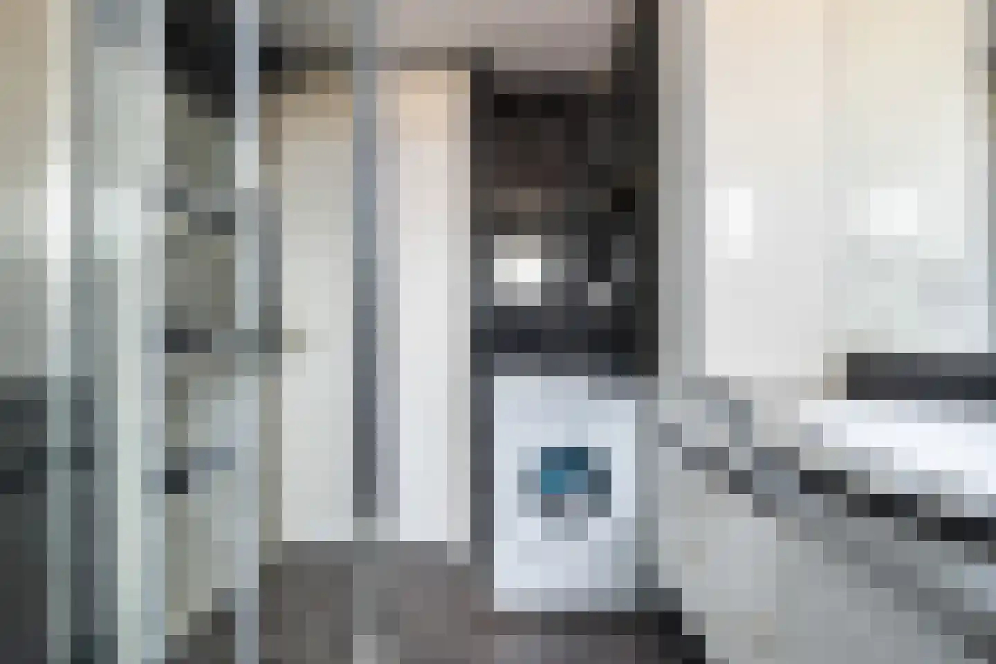 Ringspoor 55 Capelle aan den IJssel thumbnail 34