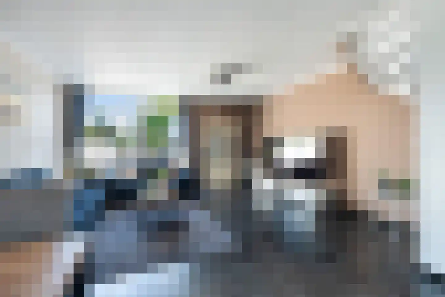 Ringspoor 55 Capelle aan den IJssel thumbnail 4
