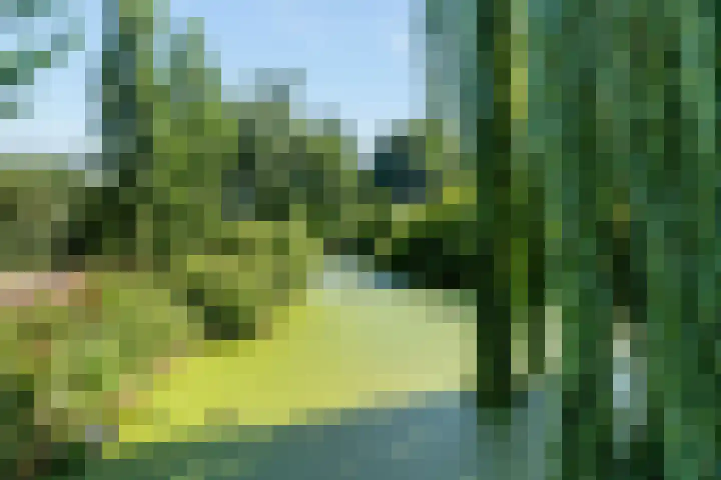 Ringspoor 55 Capelle aan den IJssel thumbnail 41