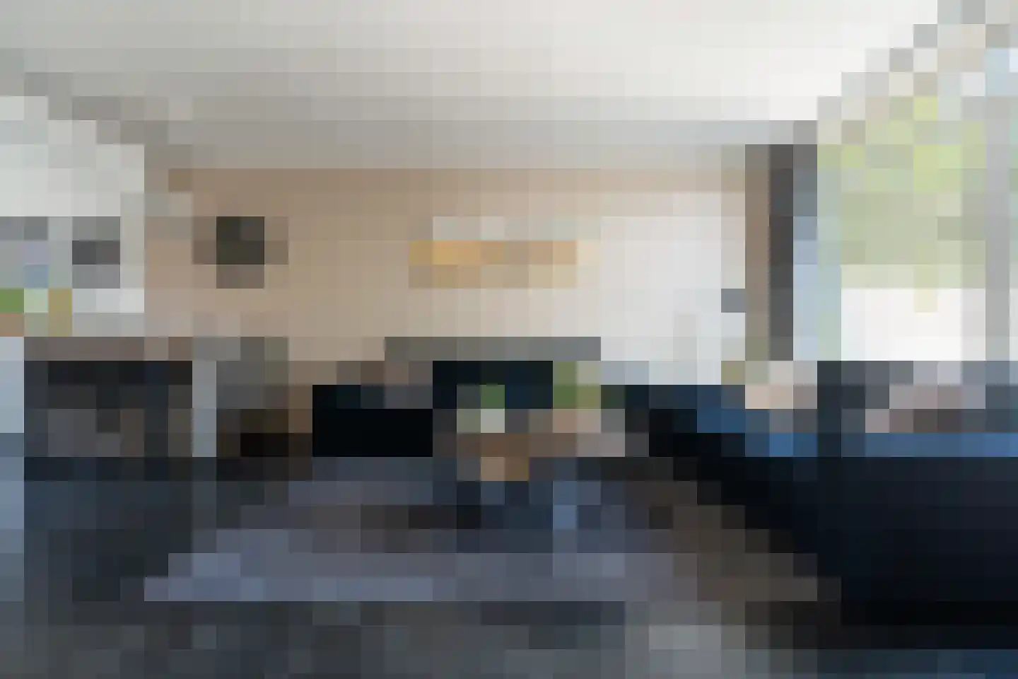 Ringspoor 55 Capelle aan den IJssel thumbnail 8