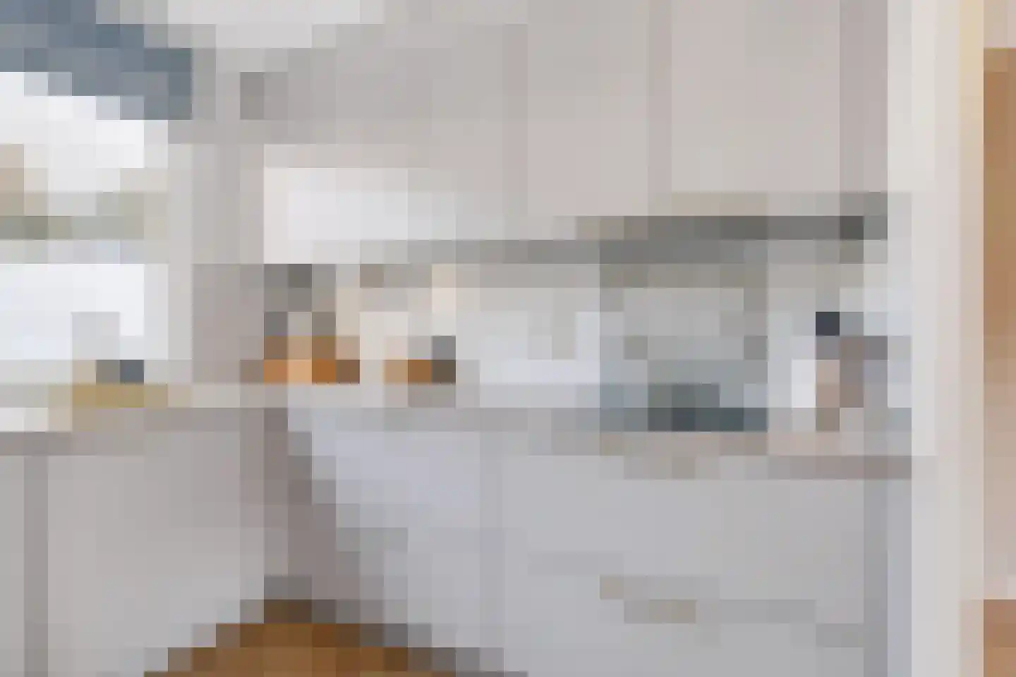 Ringspoor 67 Capelle aan den IJssel thumbnail 13