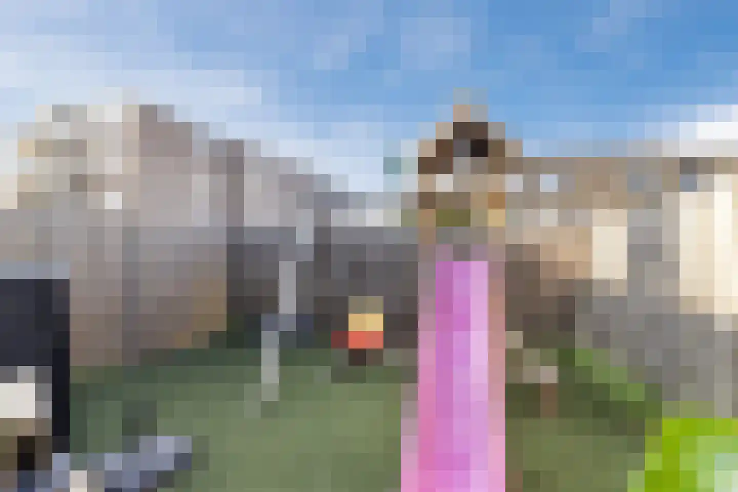 Ringspoor 67 Capelle aan den IJssel thumbnail 34