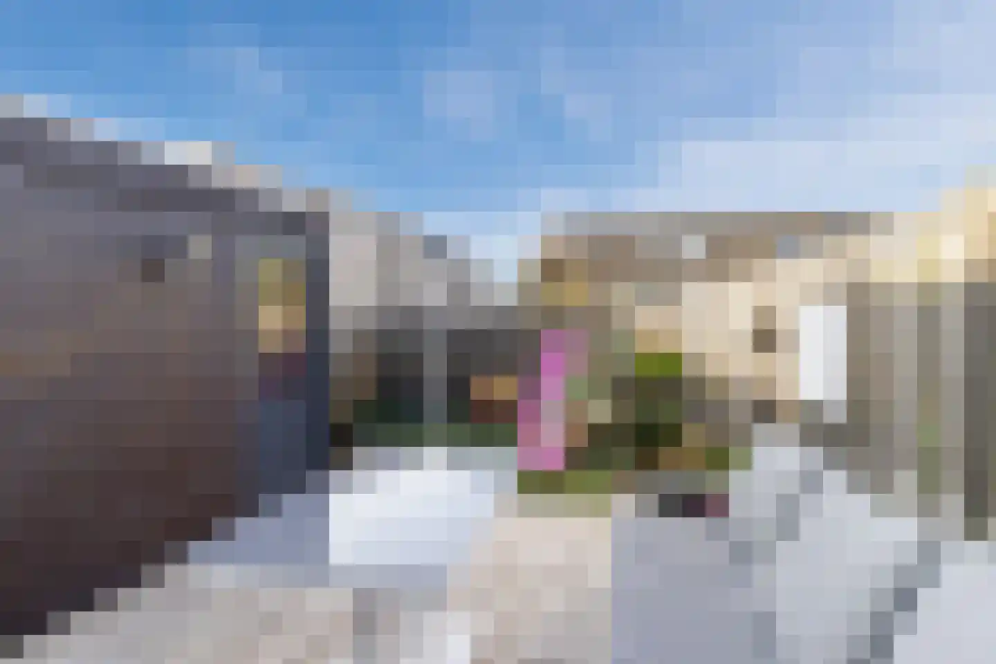Ringspoor 67 Capelle aan den IJssel thumbnail 35