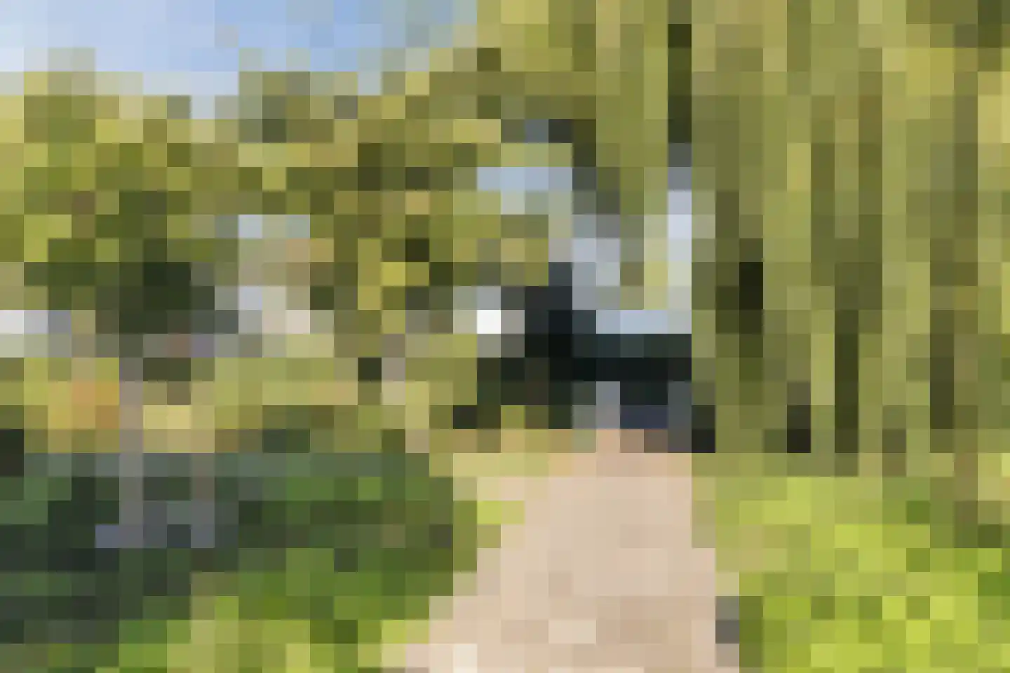 Ringspoor 67 Capelle aan den IJssel thumbnail 38