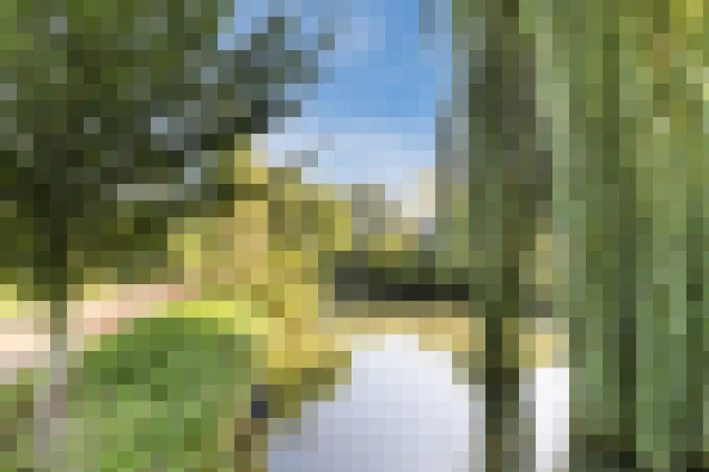 Ringspoor 67 Capelle aan den IJssel thumbnail 43