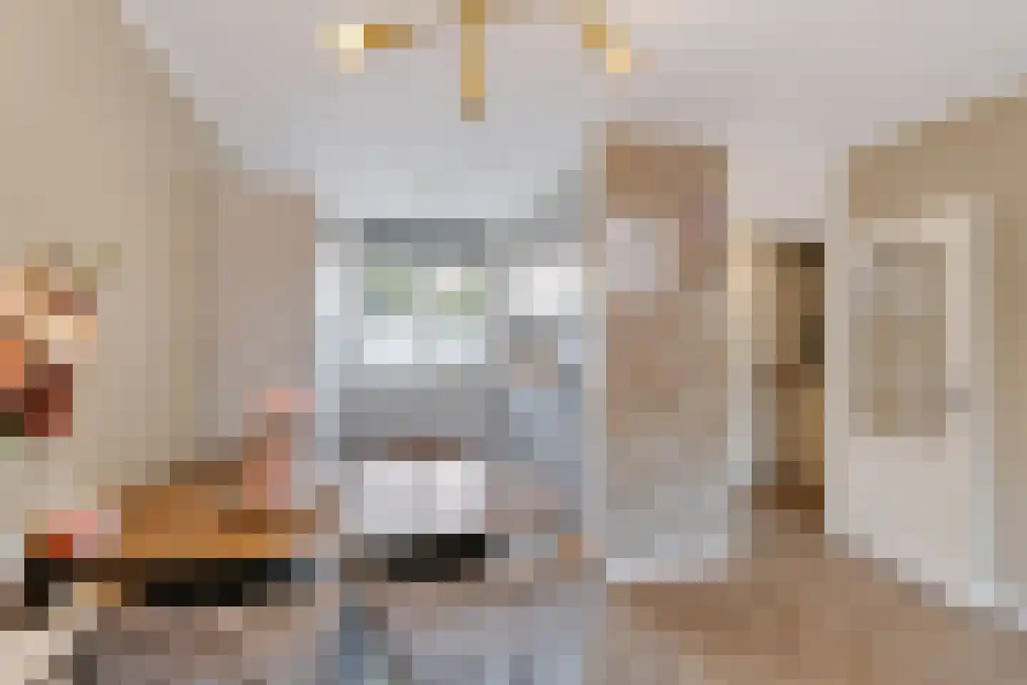 Ringspoor 67 Capelle aan den IJssel thumbnail 6