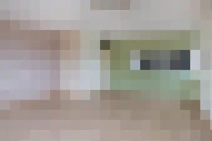 Ringspoor 80 Capelle aan den IJssel thumbnail 13
