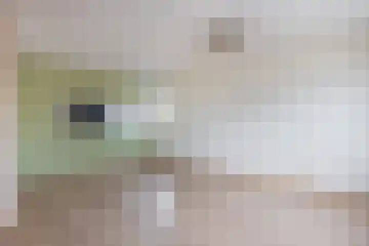 Ringspoor 80 Capelle aan den IJssel thumbnail 14