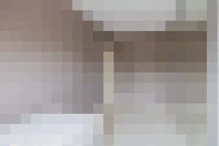 Ringspoor 80 Capelle aan den IJssel thumbnail 25