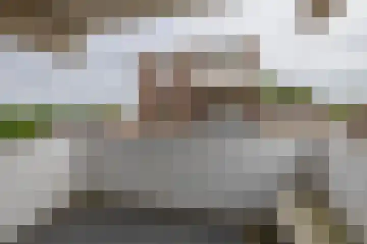 Ringspoor 80 Capelle aan den IJssel thumbnail 26