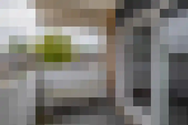Ringspoor 80 Capelle aan den IJssel thumbnail 27