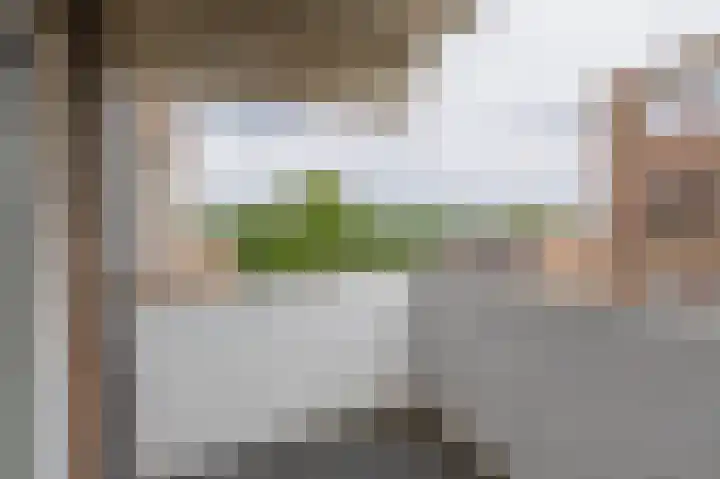 Ringspoor 80 Capelle aan den IJssel thumbnail 28
